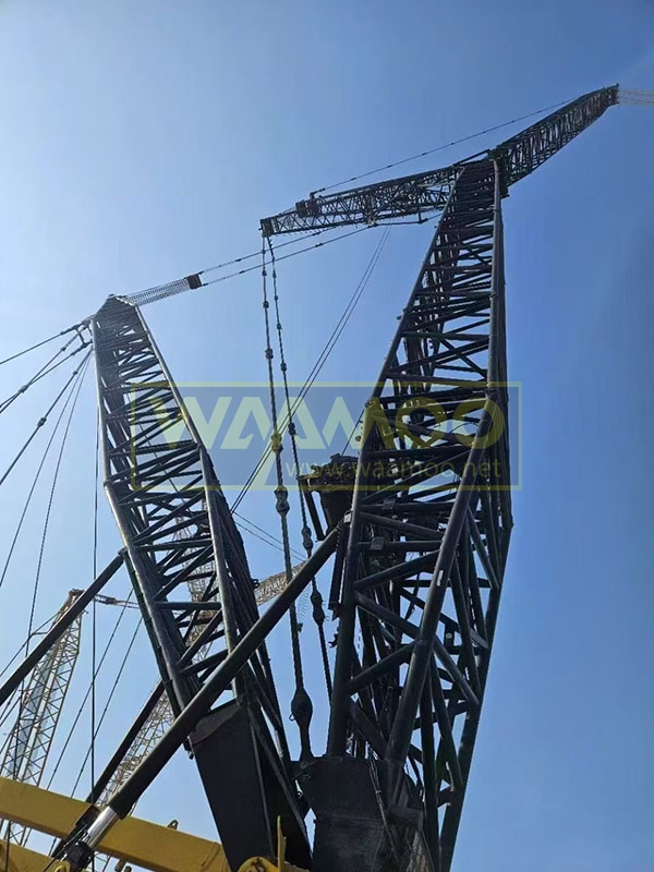 微信图片_20241215195721 拷贝
