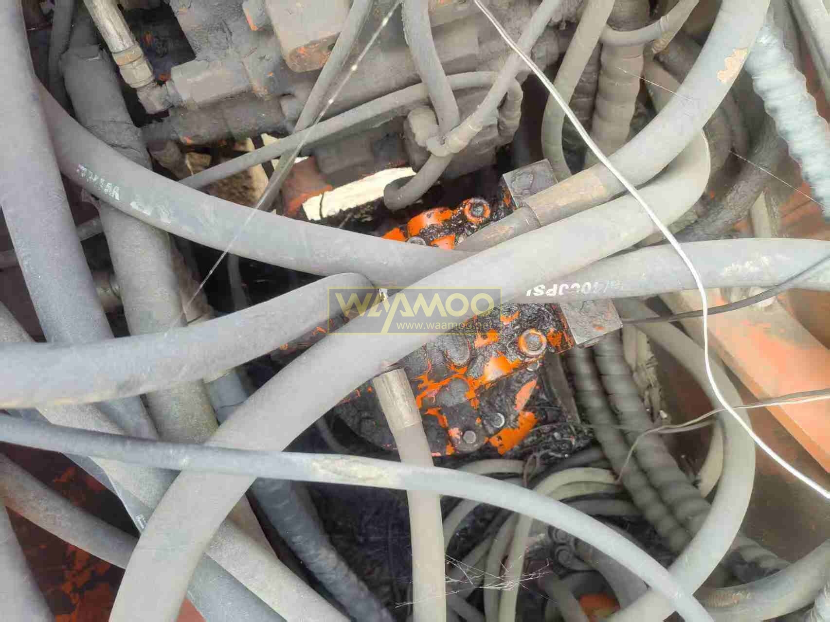 微信图片_20250717204852