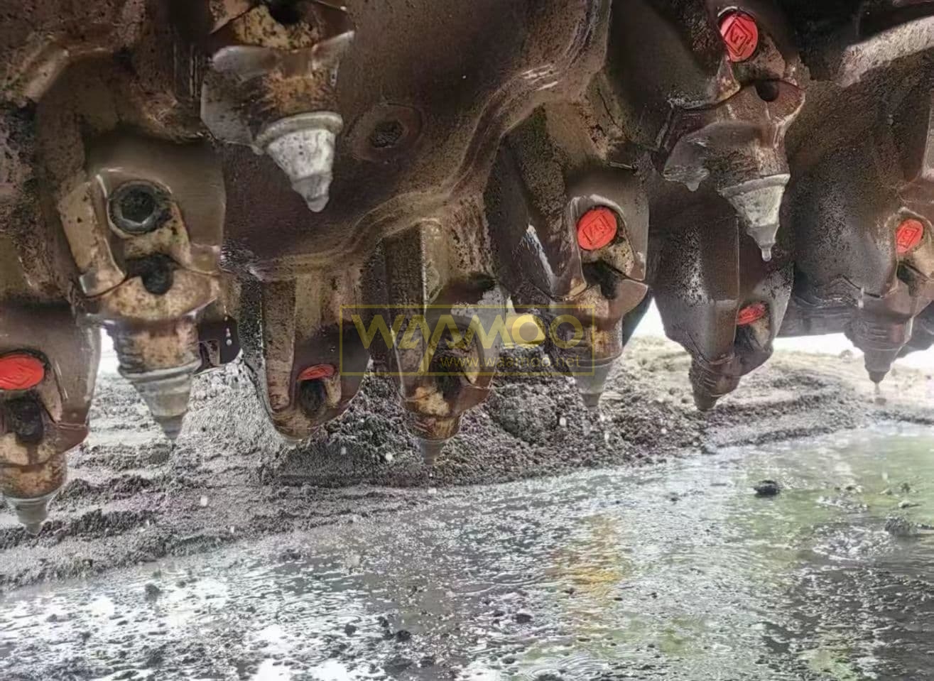 微信图片_20250721143248_1734