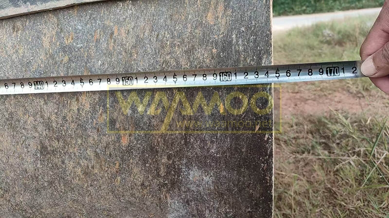 微信图片_20250907162513 拷贝