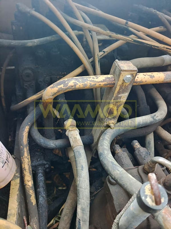 微信图片_20250908234028_3844_14 拷贝