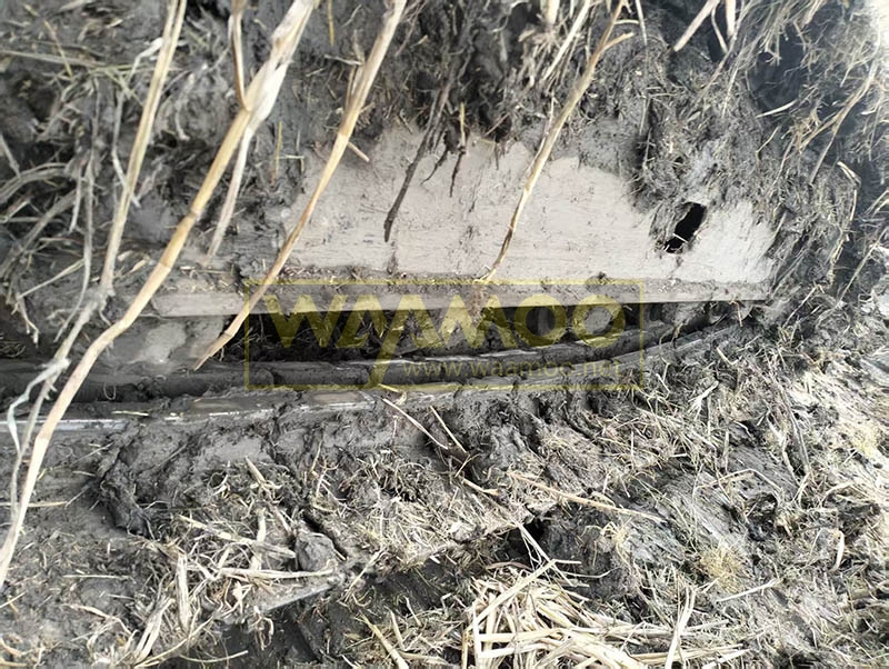 微信图片_20251029214249_4958_14 拷贝