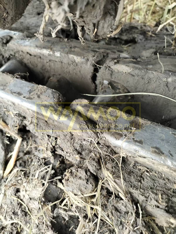 微信图片_20251029214250_4959_14 拷贝