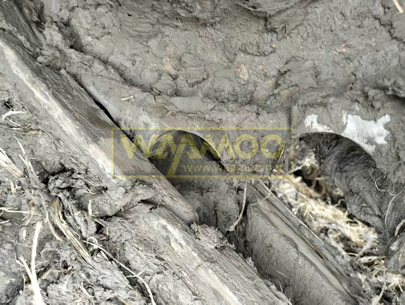 微信图片_20251029214252_4961_14 拷贝