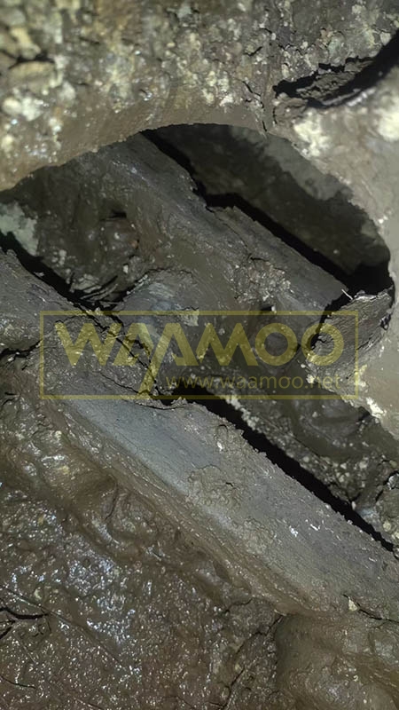 微信图片_20251106223706_5394_14 拷贝