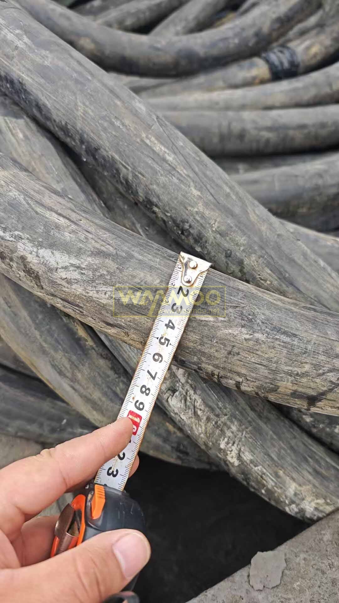 13407211187872954 拷贝