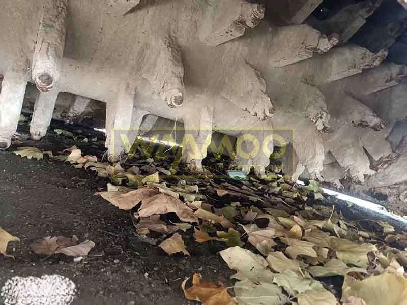 微信图片_20251118130430_5952_14 拷贝