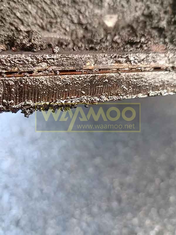 微信图片_20251118152937_6001_14 拷贝